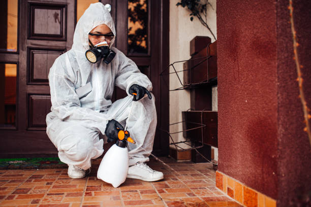 Attic and Crawl Space Rodent Treatment in Burke Centre